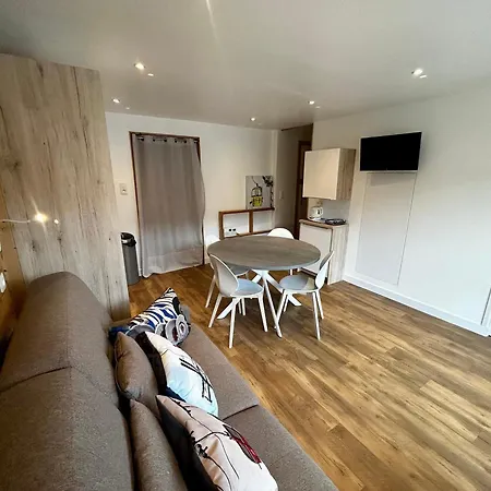 Renove Avec Coin Montagne, Balcon Sud, Au Pied Des Pistes, 4 Pers - Fr-1-452-360 *